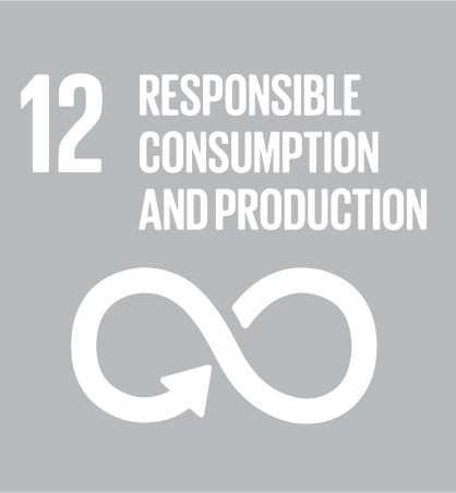 sdg icon