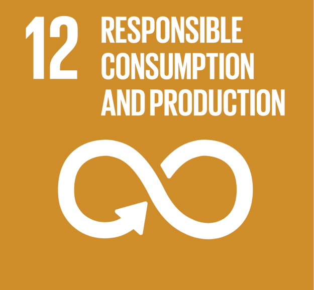 sdg 12 icon