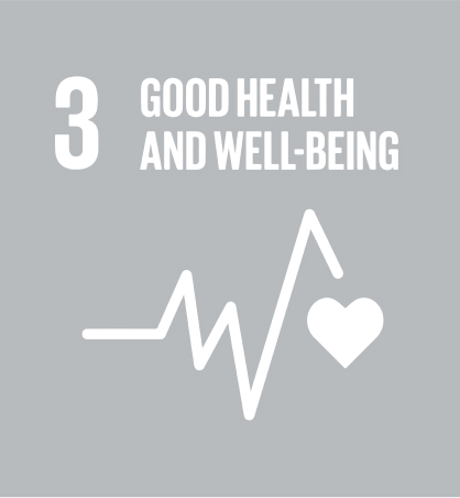 sdg icon