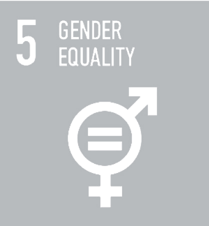 sdg icon