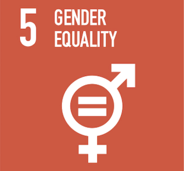 sdg 5 icon